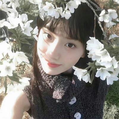 绿夜